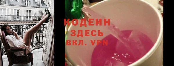 хмурый Алексин