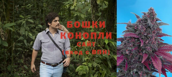 хмурый Алексин