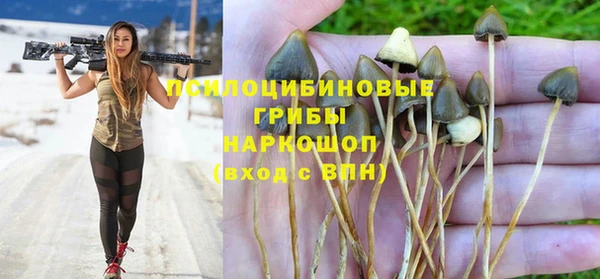 хмурый Алексин